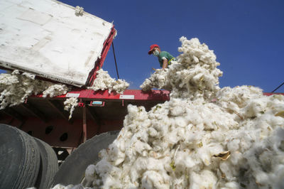 新华全媒+丨中国最大产棉区--新疆进入棉花采收季
